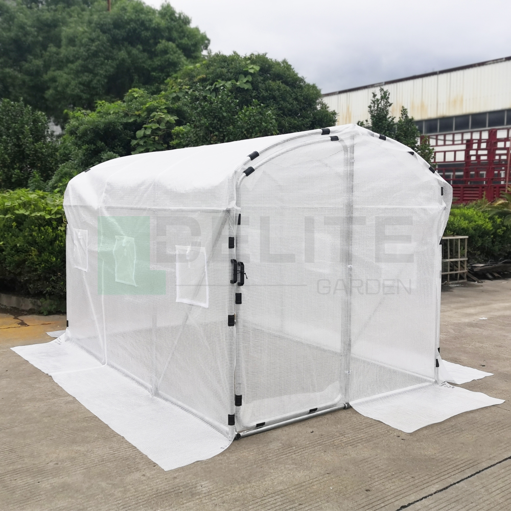 polytunnel greenhouse