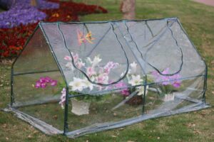 A portable Mini greenhouse with flowers in it on a green field