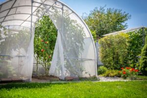 what is a greenhouse picture