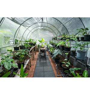 top residential greenhouse suppliers main picture