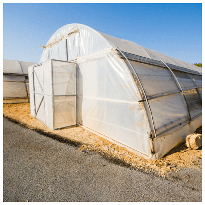 Tunnel Greenhouse for commercial use with roll up sides