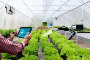 greenhouse with technology