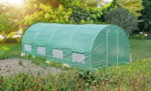 hoop house with green film