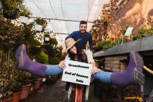 End-of-Season Sale for Greenhouse Kits main picture
